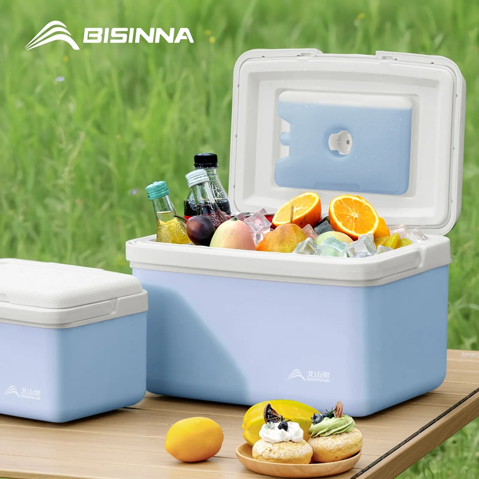 Prijenosni hladnjak BISINNA 6L/9L/15L za kampiranje, ribolov i piknik